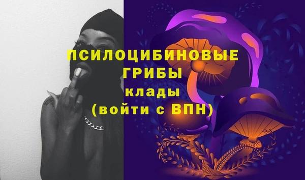 соль ск Надым