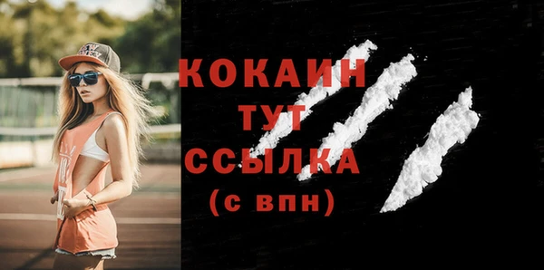твердый Михайловск