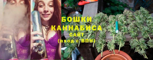твердый Михайловск