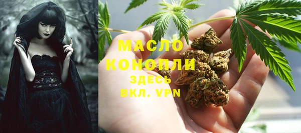 твердый Михайловск