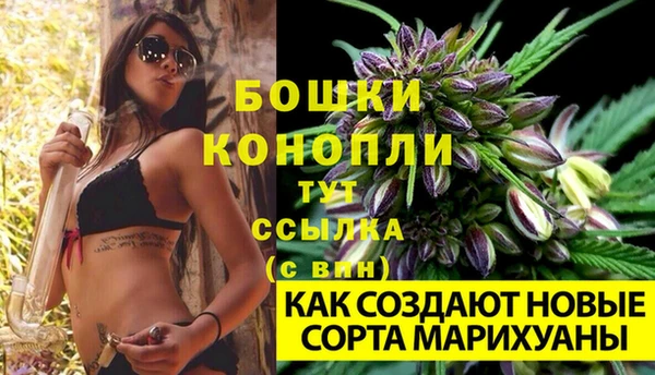 ГАЛЛЮЦИНОГЕННЫЕ ГРИБЫ Наволоки