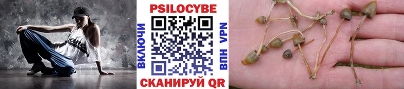 Галлюциногенные грибы MAGIC MUSHROOMS сколько стоит Солигалич